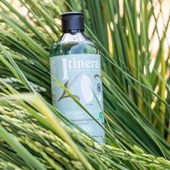 Itinera Silky Touch Shampoo (370 ml)