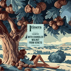 Itinera Colour Care Shampoo (370 ml)
