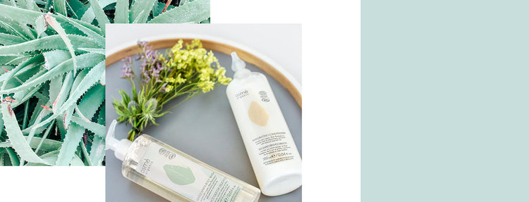 Gfl osmè natural cosmetics with aloe vera