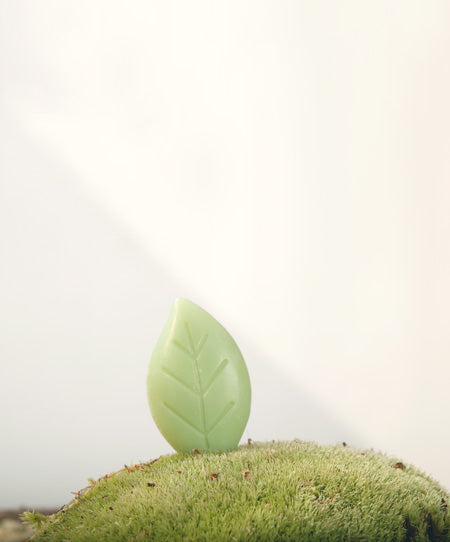 Gfl quality & certification - green certification